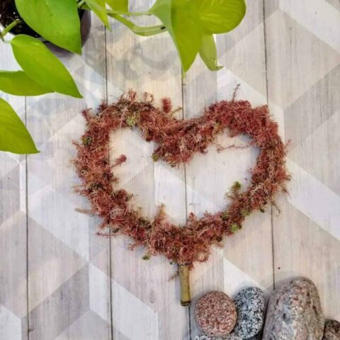 pink-moss-heart