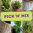 Pick 'n' Mix Box - Mini items bundle