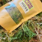 Fresh Premium Sphagnum Moss In Classic Green/Brown