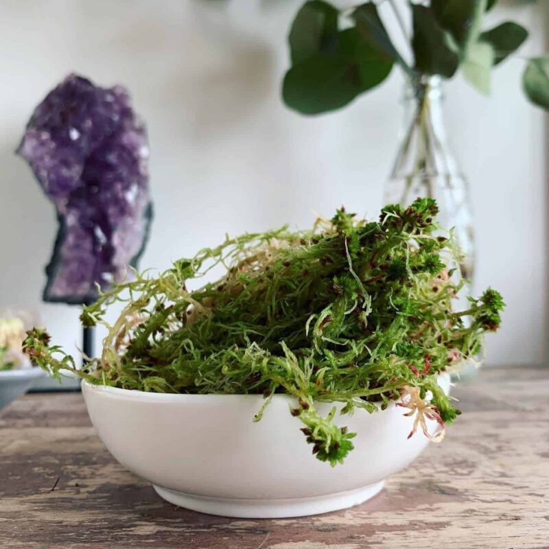 E0C8D125-06F8-40E3-8412-22CFC66C78FD E0C8D125-06F8-40E3-8412-22CFC66C78FD