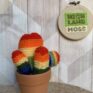 Knitted Rainbow Cactus in Terracotta Pots - Large and tall
