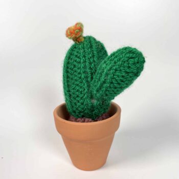 Knitted Cactus – ‘Fire Flower’ Gift Ideas