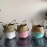 Wicker basket planter for 7-9cm pots | Available in choice of colours