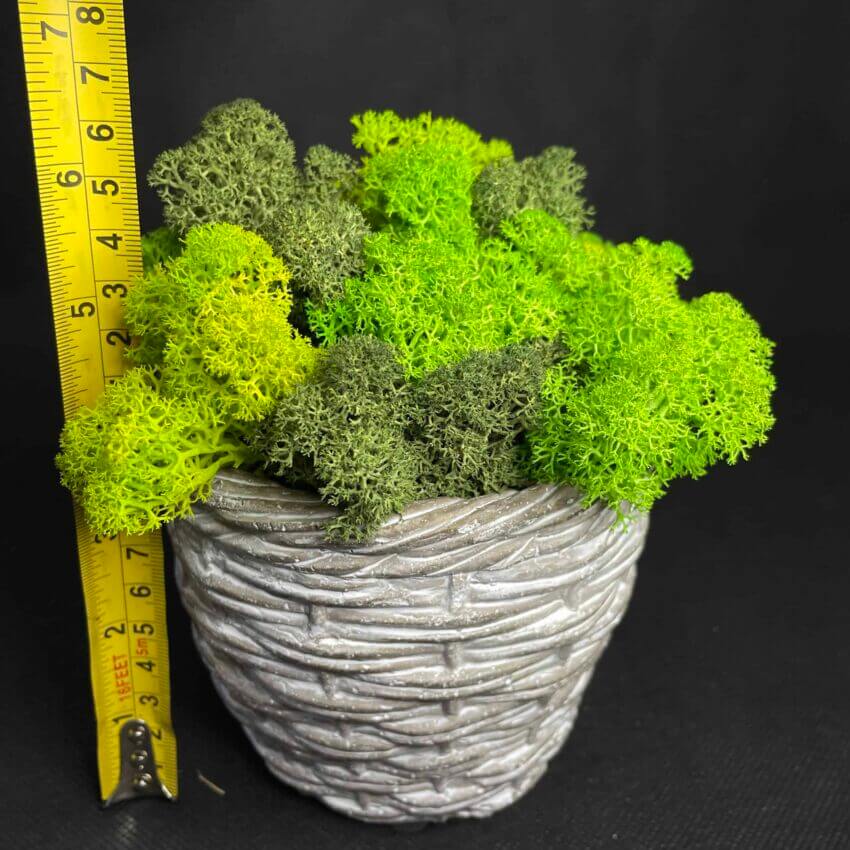 Grey Woven effect ceramic planter for short 9-10cm pots Plant Accessories 10cm planter 2