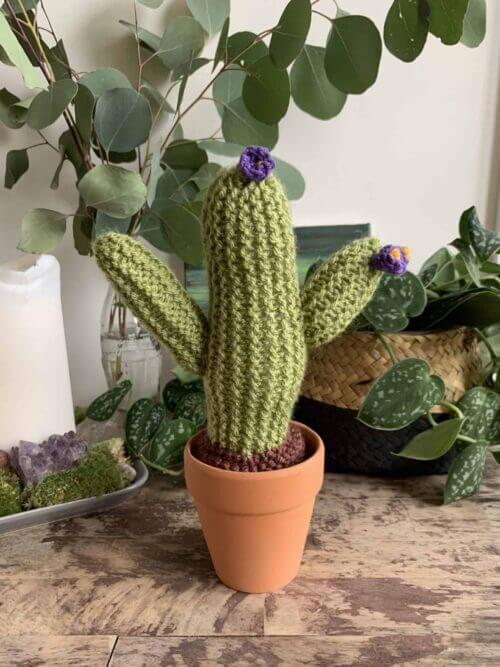 Knitted Cactus - 'Lavender Flower'