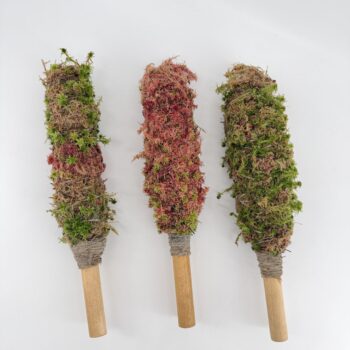 MINI Natural Moss pole 30cm