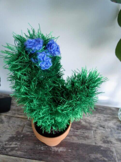 Knitted Cactus - 'Furry Monster'