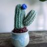 Knitted Cactus - 'Wee Blue'