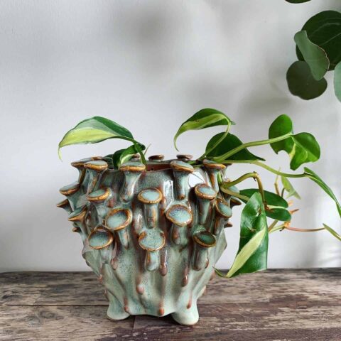 Seafoam 'toadstool' Planter for up to 8cm pots