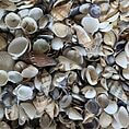 Shell Mix 25g