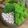 Moss Bowl | Green Garden | Preserved Reindeer Moss , preserved bun moss and clay pebbles | 21cm