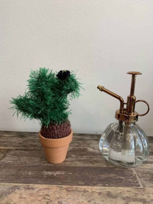Knitted Cactus - 'Wee Furry Monster'