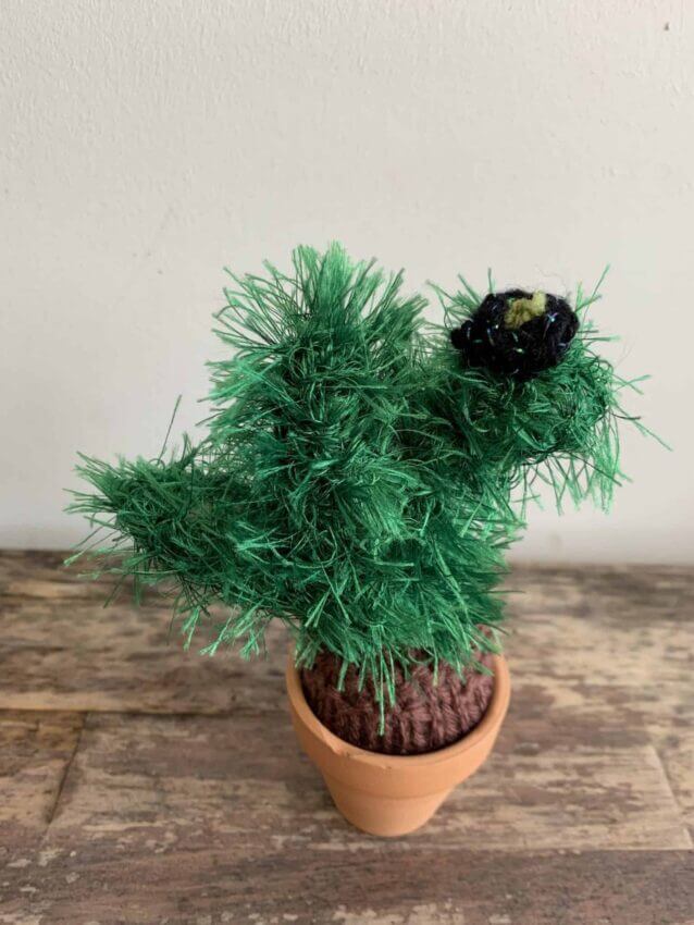 Knitted Cactus – ‘Wee Furry Monster’ Gift Ideas knitted plant 2
