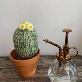 Knitted Cactus – ‘Yellow and Chunky’ Gift Ideas knitted plant 2