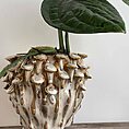 Brown 'toadstool' Planter for up to 8cm pots