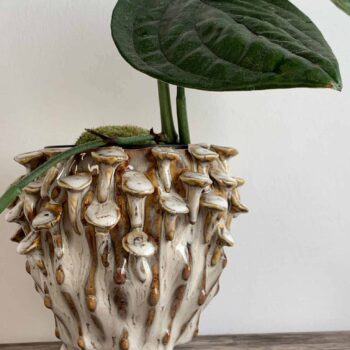Brown ‘toadstool’ Planter for up to 8cm pots Plant Accessories 8cm planter