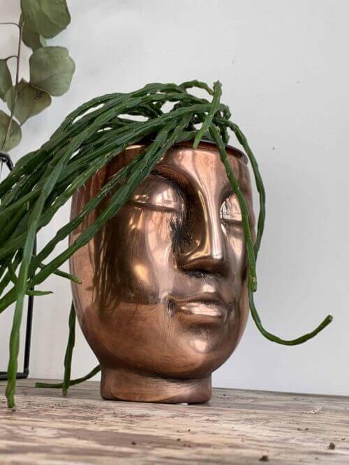 Bronze Effect Pot Head Planter for up to 9cm pots