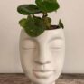 Wee White Head Planter for 5cm Pots