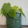 Leafy Planters in Light or Dark Green for pots up to 9cm - Dark Green