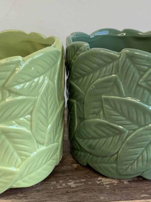 Leafy Planters in Light or Dark Green for pots up to 9cm