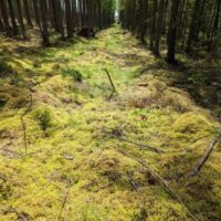 PXL_20220603_125231174