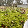 Lush green moss on structure, natural reclamation, tranquil scene, nature versus human impact.
