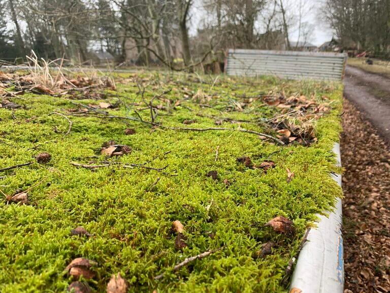 Lush green moss on structure, natural reclamation, tranquil scene, nature versus human impact.