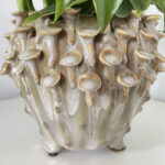 Pearlescent Brown 'toadstool' Planter for up to 11cm pots