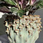 Seafoam 'toadstool' Planter for up to 15cm pots