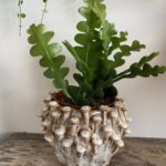 Brown 'toadstool' Planter for up to 11cm pots
