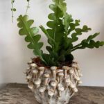 Brown 'toadstool' Planter for up to 11cm pots