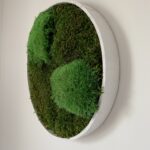 Circle of Life in Wood Frame -  12"