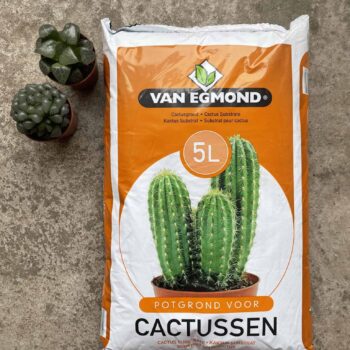 Cactus Soil 5L Plant Care soil