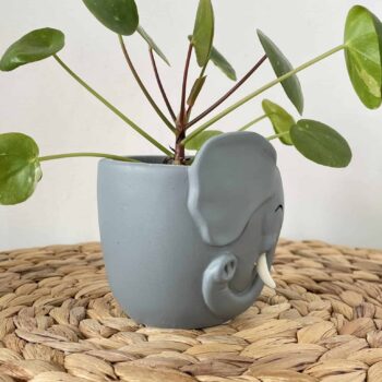 Elephant Planter for 6cm pots Plant Accessories 6cm planter 2