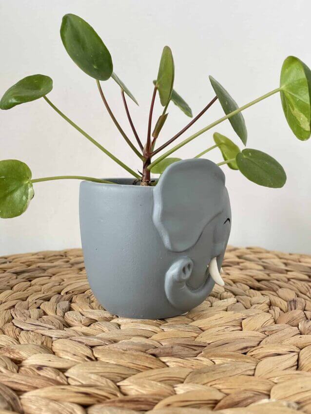 Elephant Planter for 6cm pots Plant Accessories 6cm planter 2