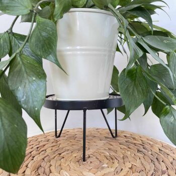 Plant Stand for up to 15cm Pots Plant Accessories 12cm stand 2