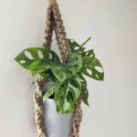 Thick Jute Rope Style Macrame 105cm
