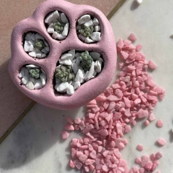 Decorative Stones – Elevate your plant pot with colourful gravel Decorations gravel 2