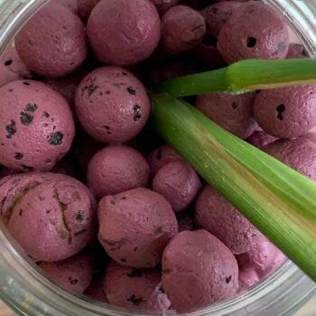Leca Clay Pebbles