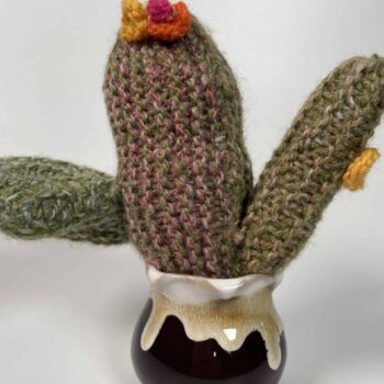 Knitted Cactus – ‘Signature Style’ Gift Ideas knitted plant