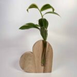 Simple Wood Propagation Station Heart