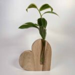 Simple Wood Propagation Station Heart