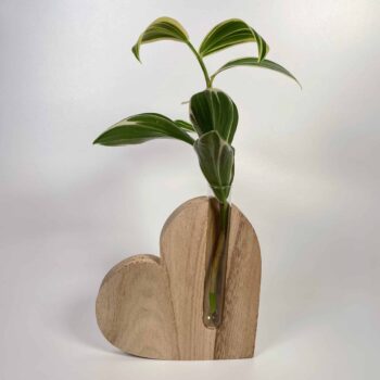 Simple Wood Propagation Station Heart Plant Accessories cuttings 2