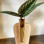 Simple Wood Propagation Station Vase