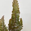 IMG_8866