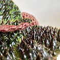 IMG_8901