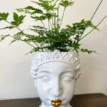 Queen Head Planter with Gold Lips | For pots 9-10cm wide | Style A (Chipped)