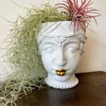 Queen Head Planter with Gold Lips | For pots 9-10cm wide | Style B