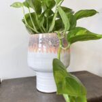Raised Planter for up to 11cm wide pots