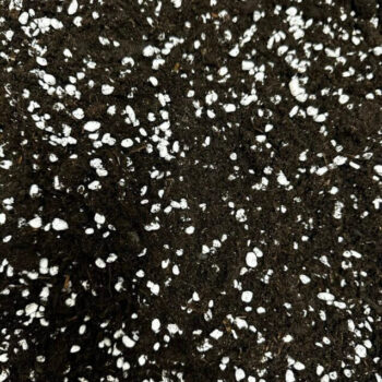 Close-up of Highland Moss General Houseplants Mix – organic potting soil with visible natural worm castings and airy texture